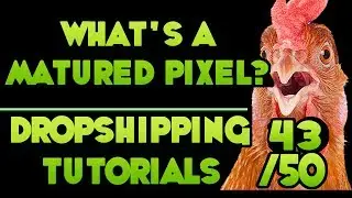 What Does a Matured Pixel Mean? - [Free DropShipping Video Tutorials # 43/50]