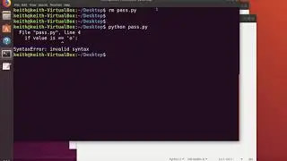 Automation with Python - Flow Control & the pass statement