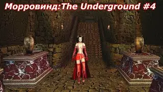Морровинд:The Underground #4 - Пропавший друг; Пустое Поместье в Морнхолде; Прическа Прудэнс