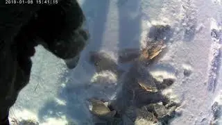 Малый Чан Карась