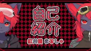 【自己紹介】改めまして！紅井猫 まるしゃ【Vtuber】