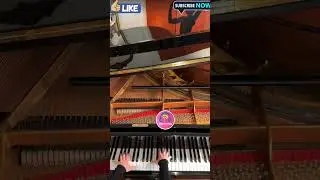 🎹✨ Talent Piano Music Performance 🎶🌟