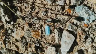 Beryl Rockhounding in California - Aquamarine