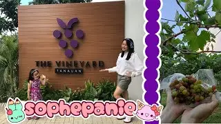 Family Fun at the Vineyard, Tanauan! | sophepanie