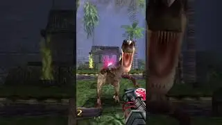 Turok más molaba