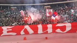 Zvezda - Radnicki Nis navijanje