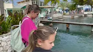 First Time In The Cayman Islands | Swimming With The Dolphins & Turtles | The LeRoys