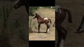 Debbi’s transformation