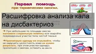 Расшифровка анализа кала на дисбактериоз