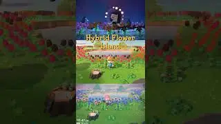 These features were completely REMOVED from Animal Crossing: New Horizons 😱