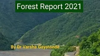 Forest Report 2021