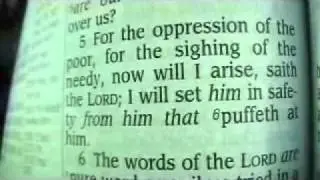 Psalm 12 Holy Bible (King James)
