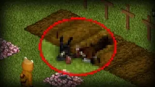 The Rarest Occurrences in Project Zomboid