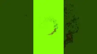 Christmas Ornament Green Screen Overlay 