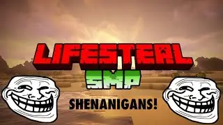 Lifesteal SMP Shenanigans. (literally me and my friend messing around)