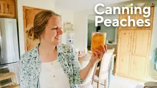 How to Preserve Peaches with the Water Bath Canning Method