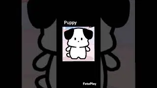 Ship or Dip? #3 #widgetable #shipordip #puppy #kitty #fyp