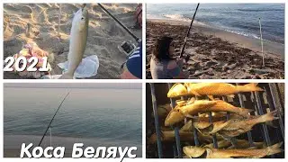 Как мы ловили и коптили кефаль на косе Беляус