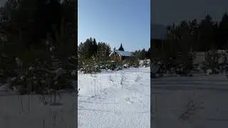 9 февраля 2022 г.