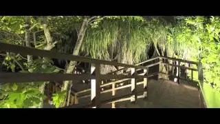 Best of Maldives Luxury Resorts- Amilla Fushi Maldives