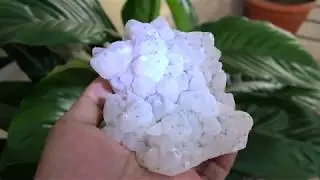 QUARTZ with PYRITE INCUTION/ HONDURAS, el Mochito Mine Santa Barbara