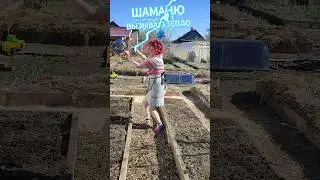 Шаманю. Когда живешь в холодном регионе. 
