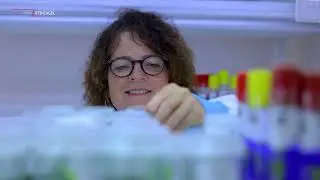 Roots, Tubers and Banana - East Africa Germplasm Exchange Laboratory: Presentation Documentary