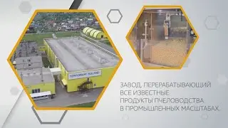 Лучший в мире завод пчелопродуктов Тенториум!