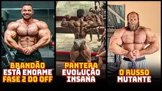 BRANDÃO Huge Advance to Phase 2 of the Off-Season! PANTERA Impresses and RUSSOS Scare the Open!