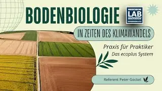 Bodenbiologie im Klimawandel - Boden Mikrobiom Analyse DNA basiert kinsey analyse Mikrobiom-lab