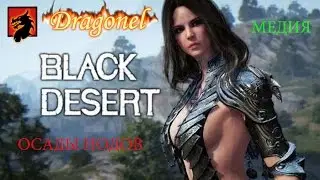Black Desert осада нода Dragonel !!!!!!!