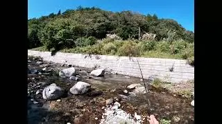 Finally my round 2 of 2024 trout/salmon season