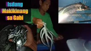 Sari-saring Isda Sa Pagpapailaw ng Dilis sa Laot #catchandsell