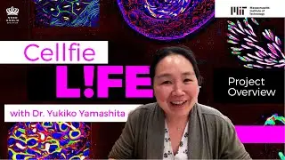 Cellfie Life ft. Dr. Yukiko Yamashita | LIFE | MIT Challenges