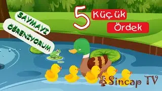 15dk Bir Gün Beş Küçük Ördek 🦆- SAYMAYI ÖĞRENİYORUM - Çocuk Şarkıları - Bebek Müzikleri - Bebek Şark