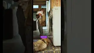 КЕЙС COЗДАНИЯ РАБОЧЕГО МЕСТА ОТ WHIRPOOL  