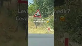 Ehliyet sınavı soruları/EHLİYET SINAVI/ #ehliyetebruhoca #trafik #keşfet #levhalar