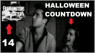 Halloween countdown (14)