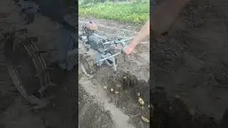 Мотоблок саморобний копаємо картоплю