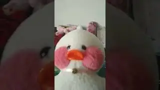 11 февраля 2022 г.