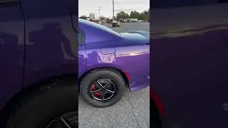 This is PLUM CRAZY! #racing