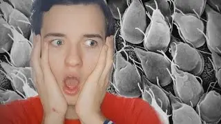 КАК Я ПОБОРОЛ ЛЯМБЛИОЗ? Я ПРОСТО УМИРАЛ КАЖДЫЙ ДЕНЬ..