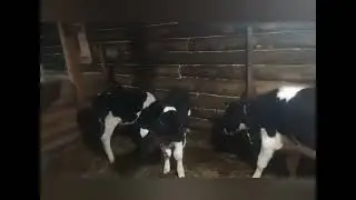 И ВНОВЬ ПРОДОЛЖАЕТСЯ БОЙ 👍😉❤️