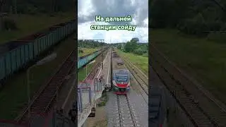 На дальней станции сойду #Электрички #Романтика #Подмосковье #Лето #Дача #Чисмена #ржд