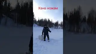 Всё, хана ножам. Каюр.#Каюр #рыбалкапомужски #chorts