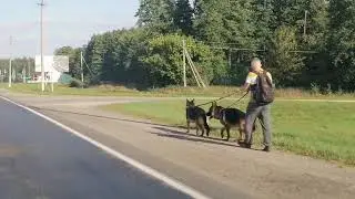 ГОРОД СТАРЫЕ ДОРОГИ 