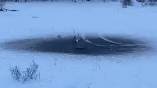 Охота с арбалетом!