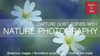 Join Me and Capture Quiet Scenes with Nature Photography