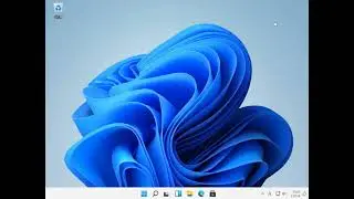 Windows 11 Enterprise Insider Preview 10.0.22000.51(co_release)をクリーンインストールする