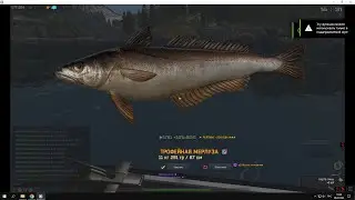 Fisher Online : Норвегия, Мерлуза